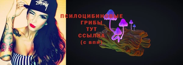 хмурый Новодвинск