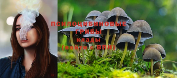 a pvp Новокубанск