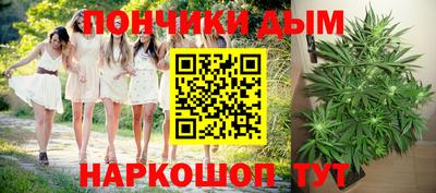 эйфоретик Гатчина