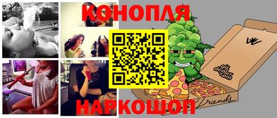 эйфоретик Гатчина