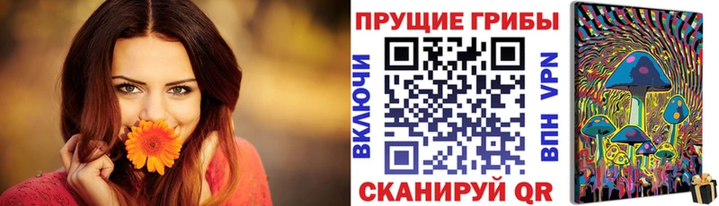 Псилоцибиновые грибы прущие грибы  Барабинск 