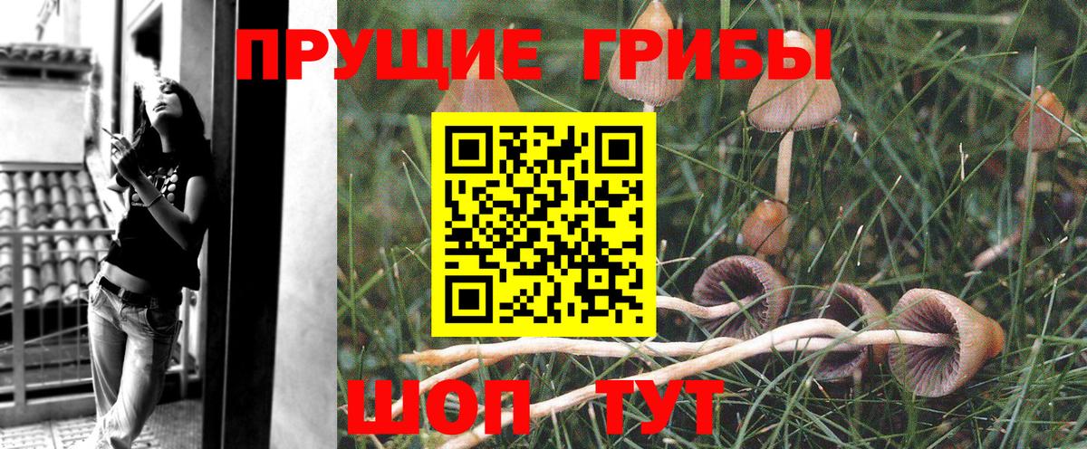 Гашиш Барабинск