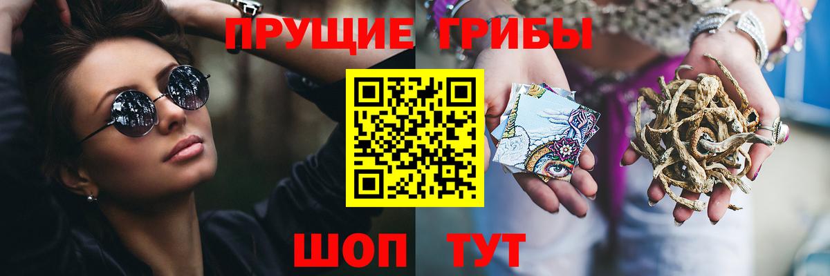 Барабинск  Псилоцибиновые грибы прущие грибы  Вход с VPN 