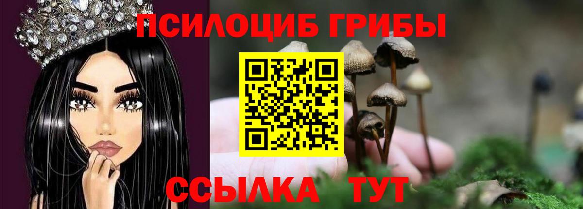 Псилоцибиновые грибы прущие грибы  Барабинск 